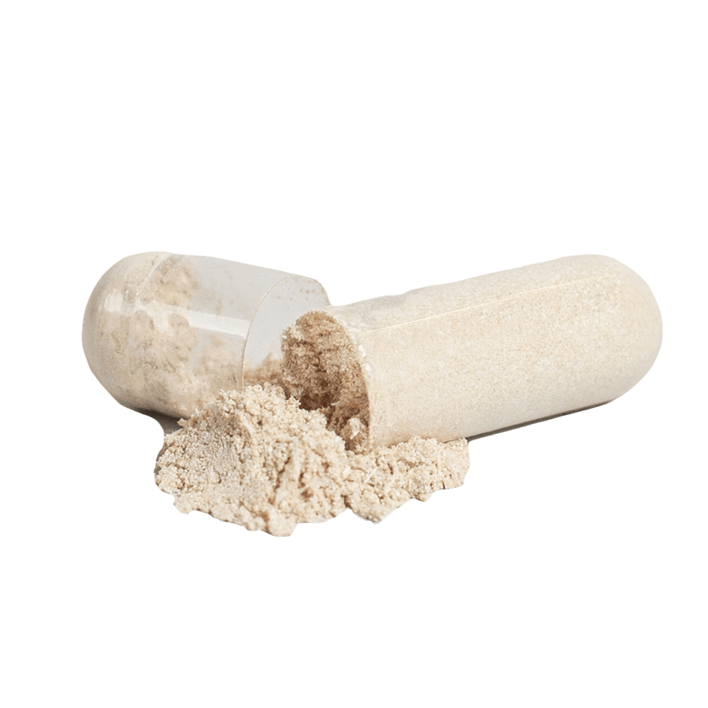 AavYos Complete Multivitamin For Men