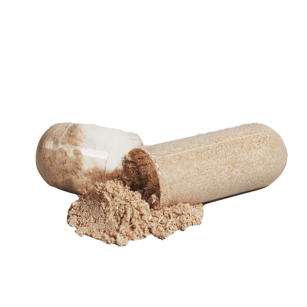 AavYos Mushroom Complex 10 X